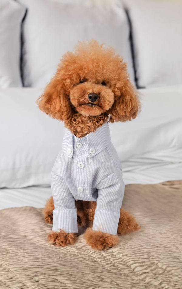 RIKOTA poodle cardigan プードルカーディガン Sサイズ 商品の説明