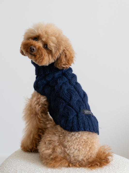 Pull-chien-paris