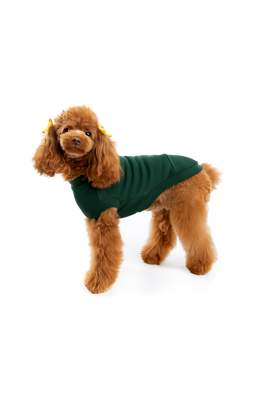 T-shirt Chien Parfait Pour L'été Fait a la Main en Coton Pima Très Doux et Respirable