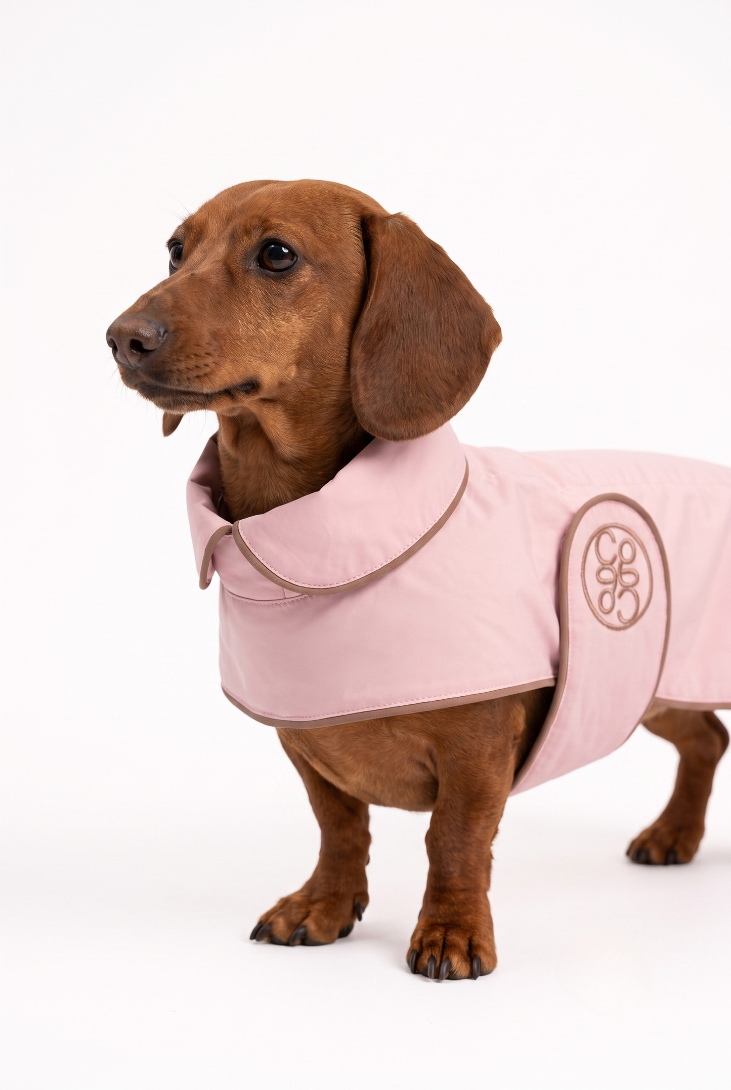 The Teckel La Pluie Light — Luxury Dachshund Raincoat, Made in France