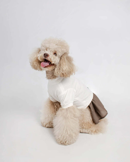 Dog Dress Softest Skirt dress Robe Chien Cotton Gots Colette et Gastón