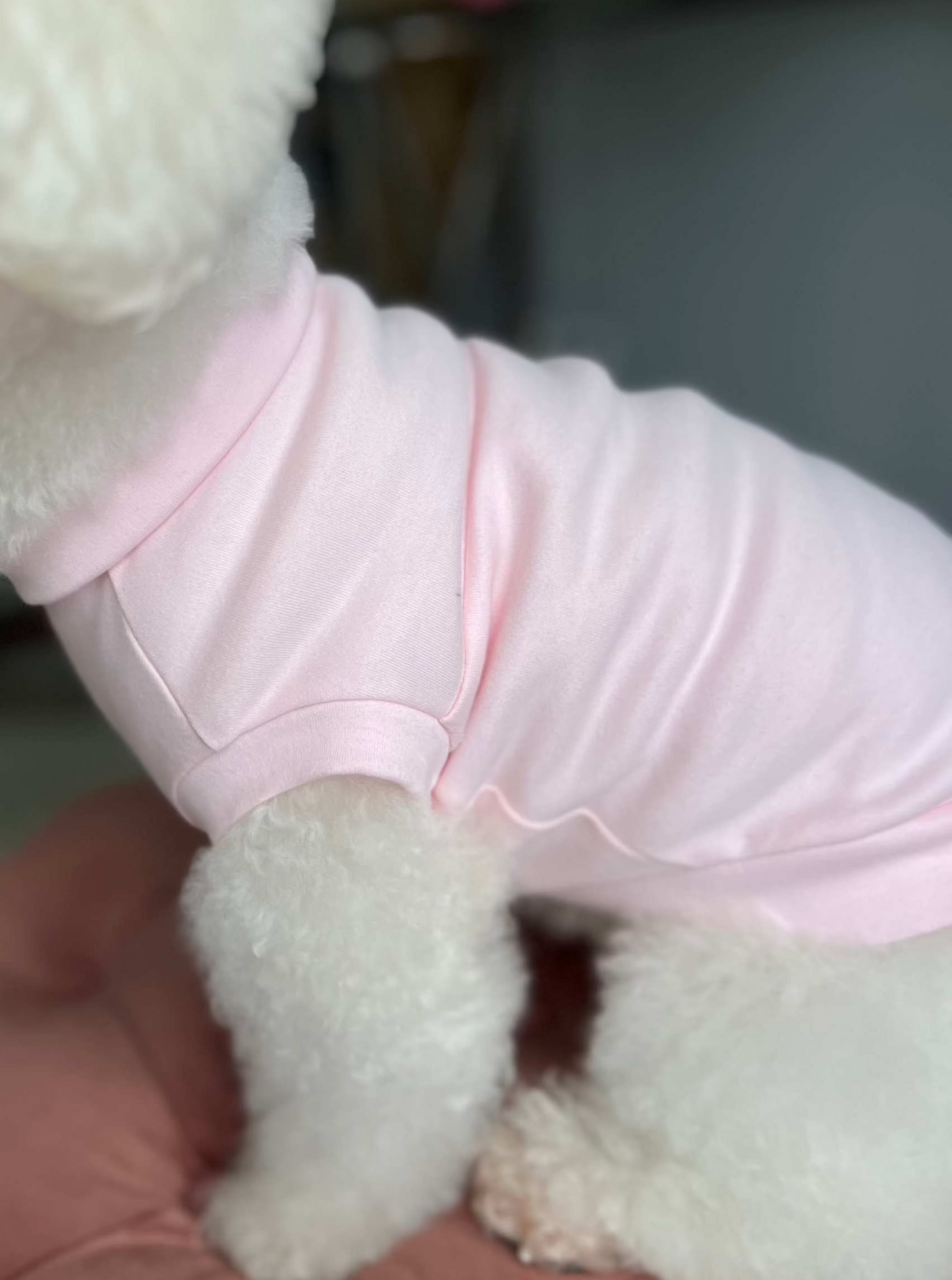 Dog T-Shirt For Summer In Cotton Pima Colette Et Gastón