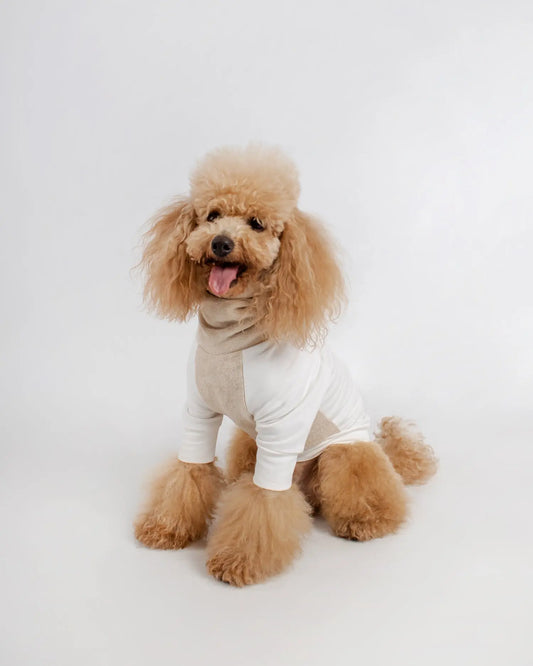 Jumper Sweat Ultra Soft Coton Gots Colette et Gastón