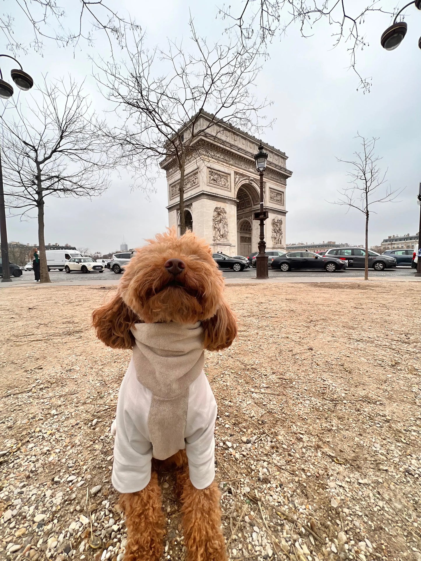 Jumper Sweat Ultra Soft Coton Gots Colette et Gastón