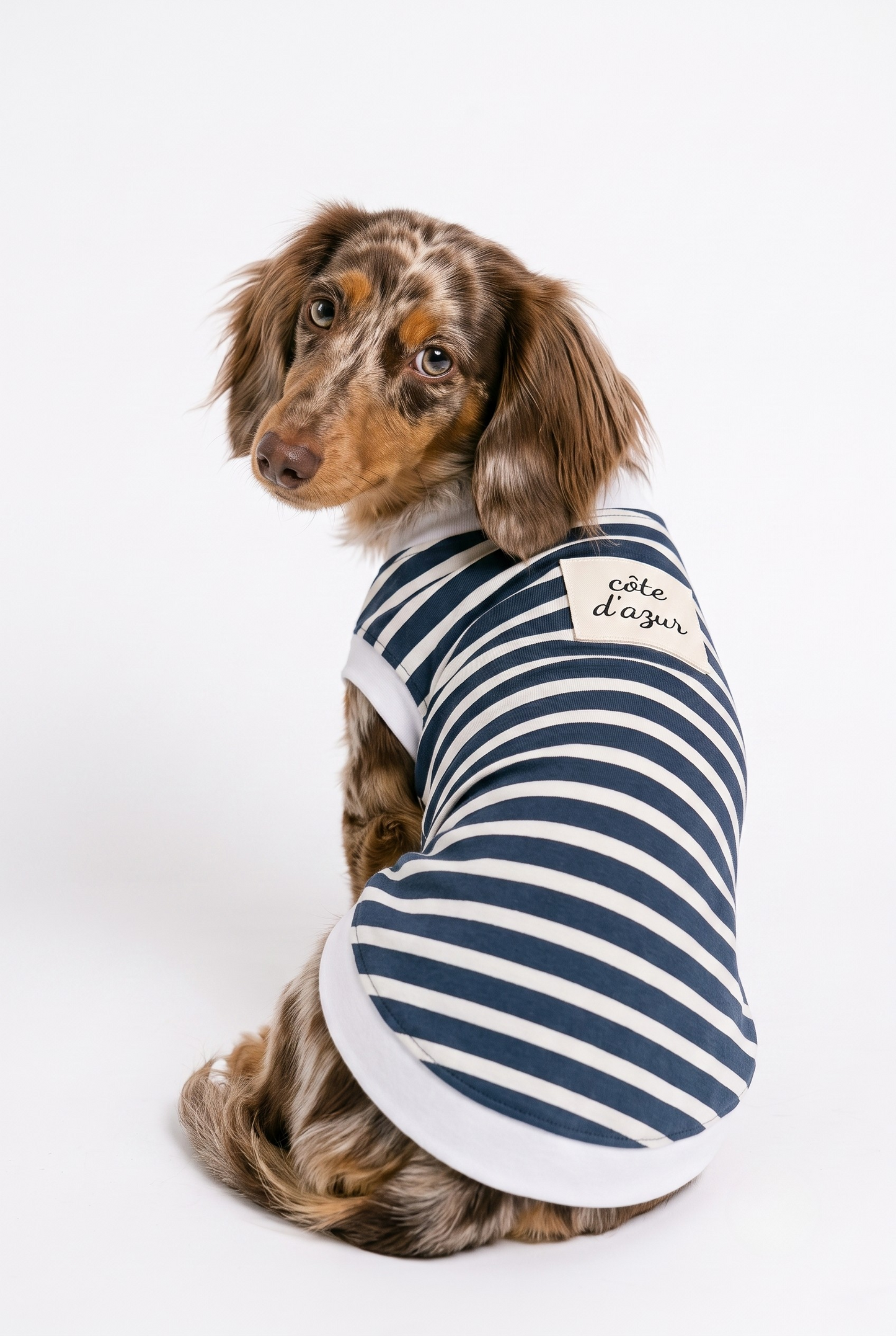 The Teckel Bleu de Paris Dog T-shirt