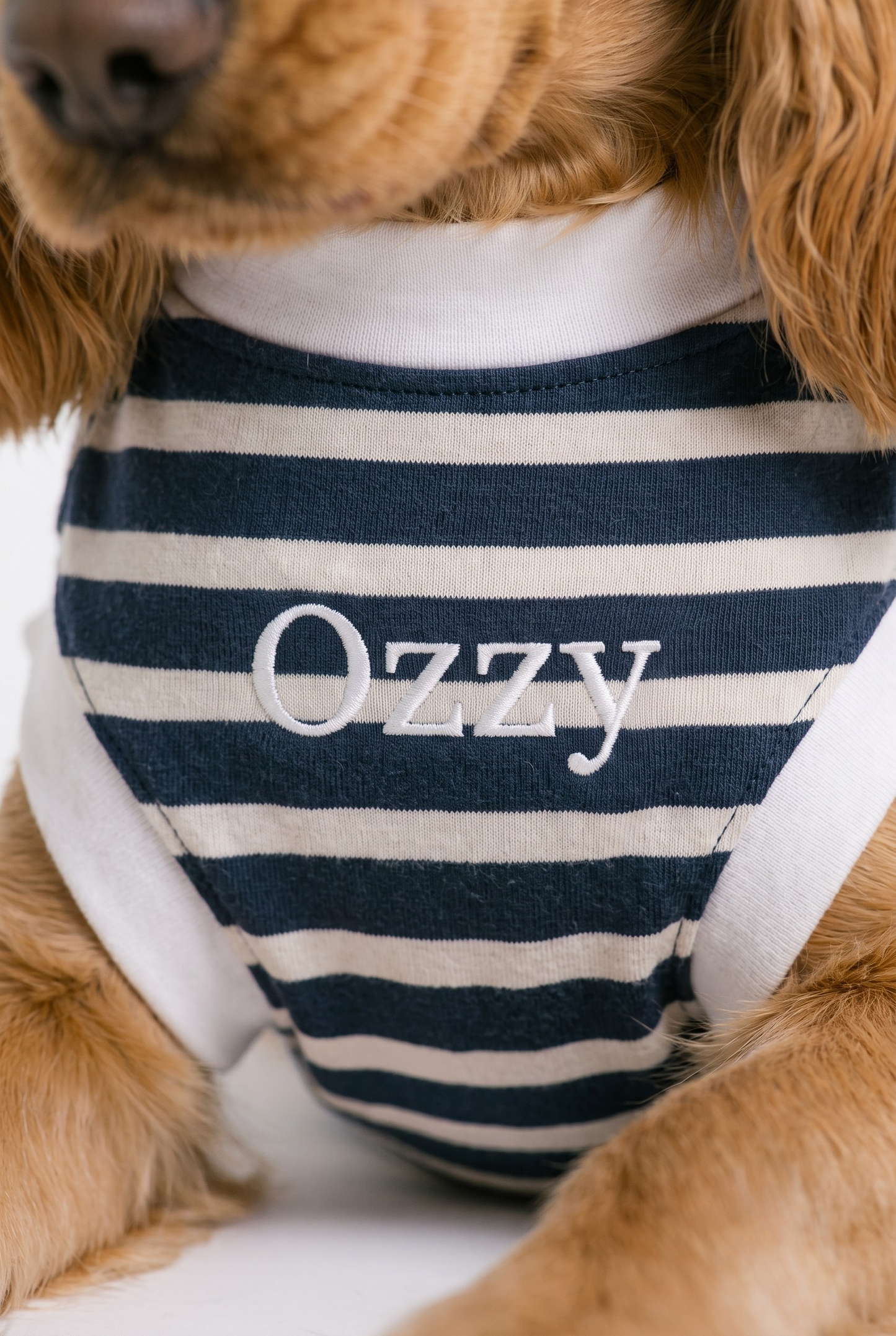 Camiseta para perros "Detrás de tu ropa sintética" Todas las estaciones