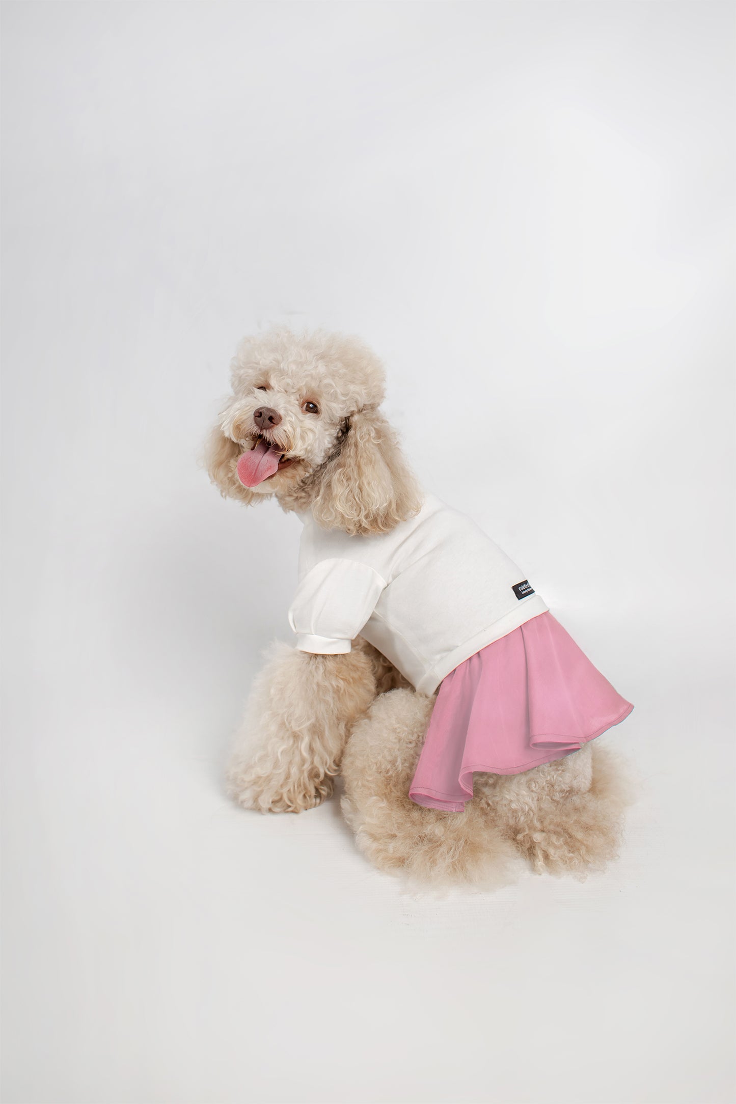 Robe Chien Biologique Coton Gots