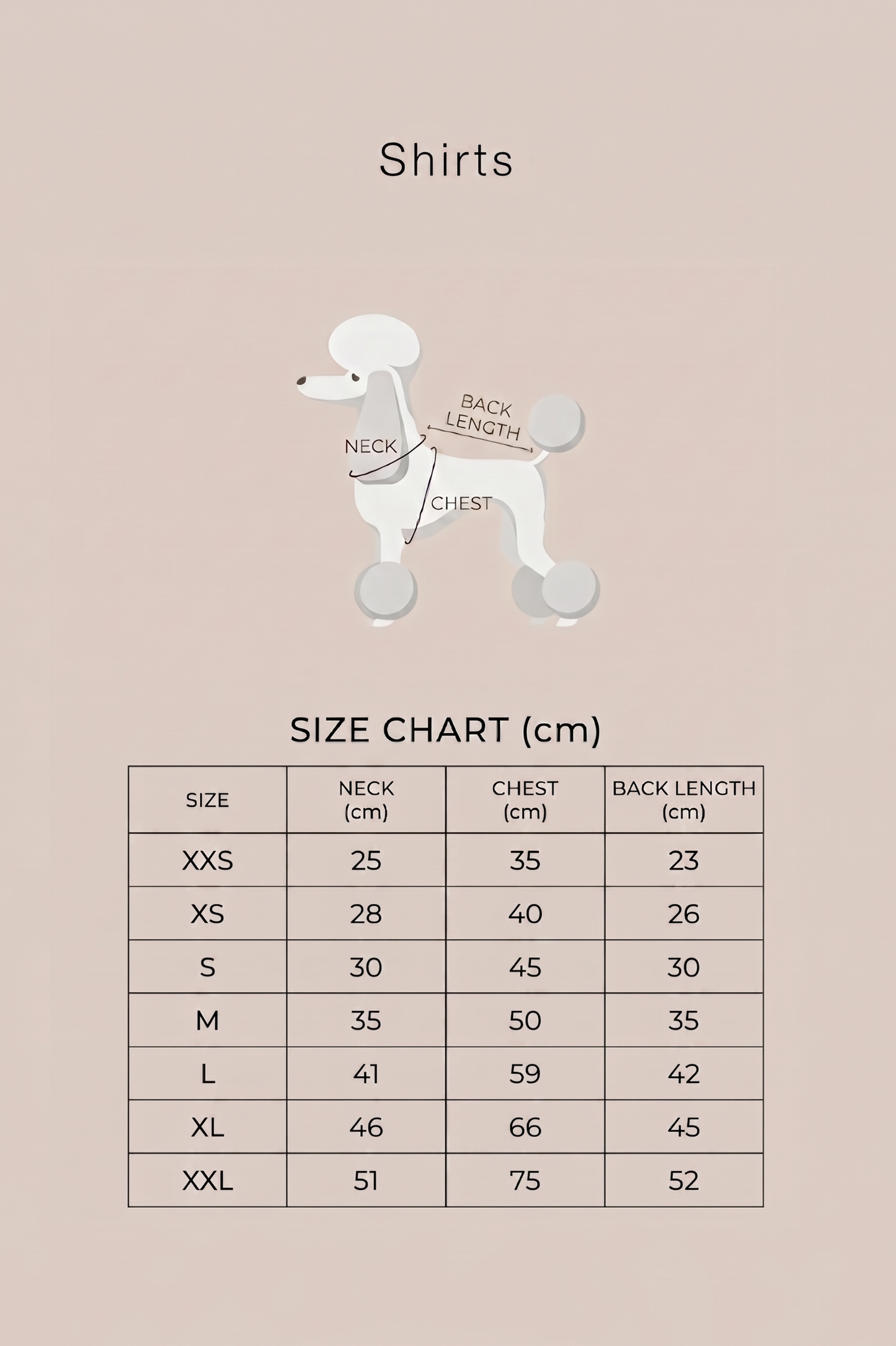 Size chart for shirts with a poodle illustration on a beige background, featuring Colette et Gastón branding.
