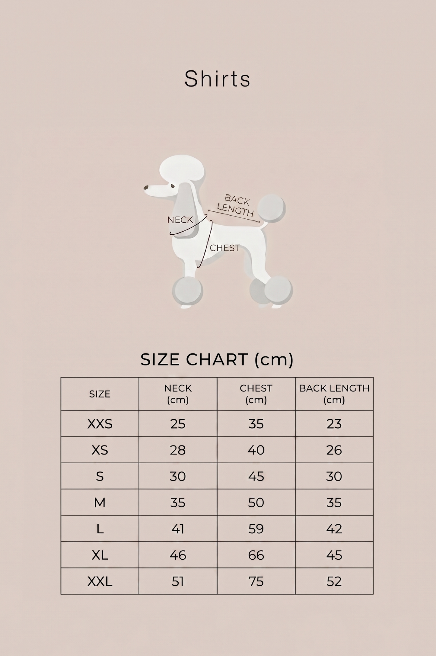 Size chart for shirts with a poodle illustration on a beige background, featuring Colette et Gastón branding.