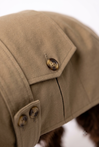 Waterproof Dachshund Coats: Softshell vs Trench vs Lightweight