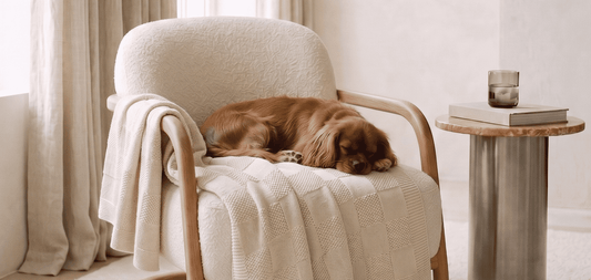 Father's Day: The Guide to the Best Gifts for Dog Dads