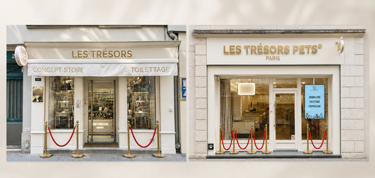 The Best Luxury Pet Boutiques in Paris
