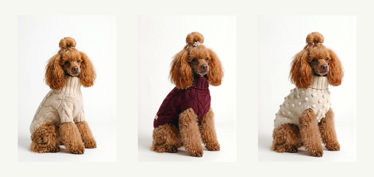 The Best Luxury Dog Sweaters — and What Makes Them Worth It