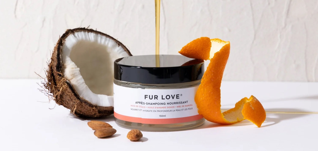 Why We Chose Natural Ingredients for Dog Grooming