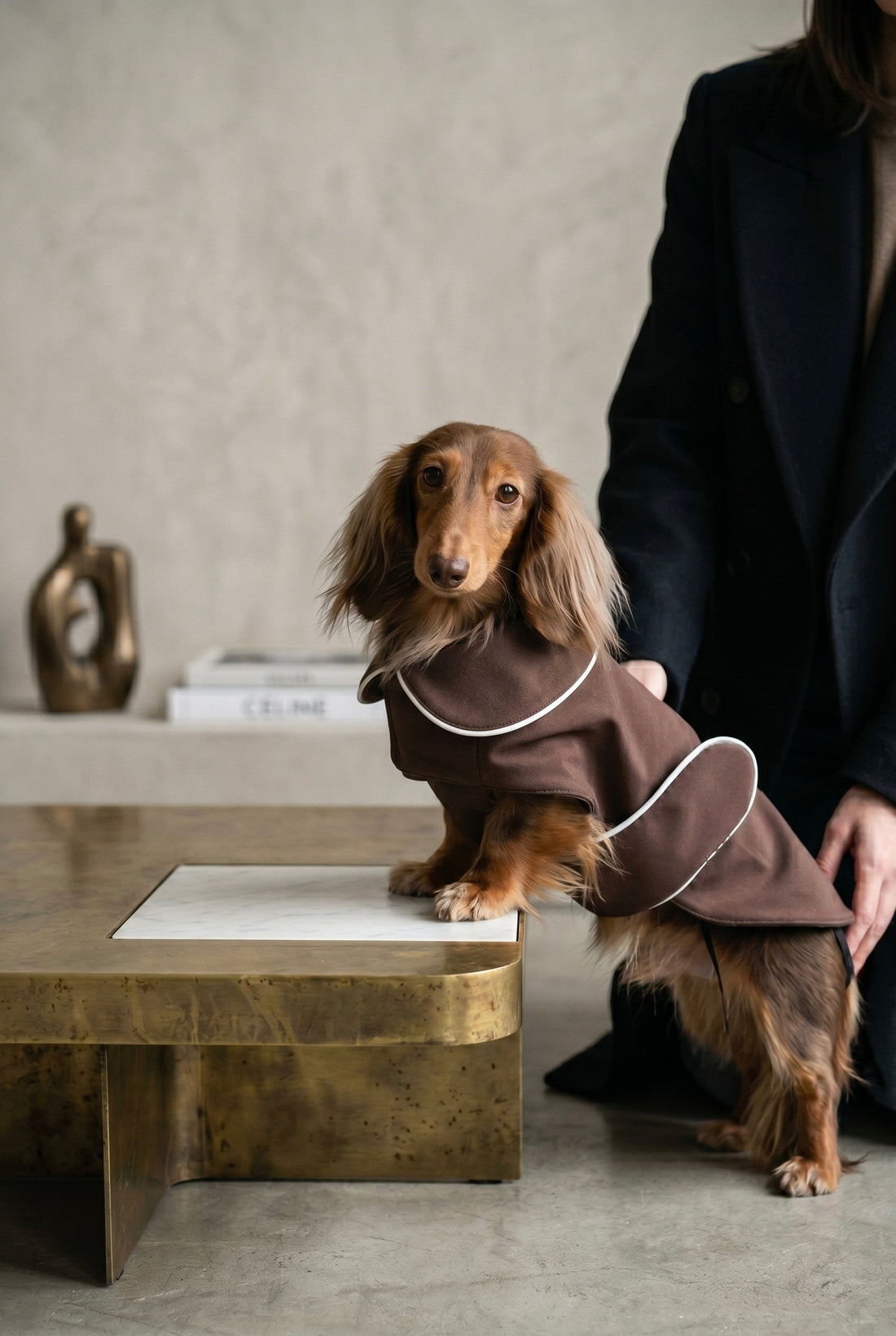 La Pluie Dog Softshell Raincoat — Colette et Gastón