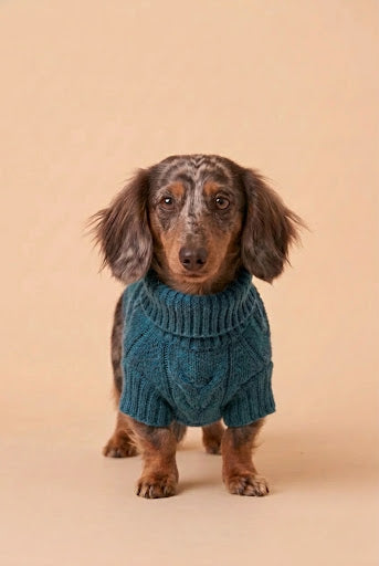 The Teckel Winter Warmer Sweater