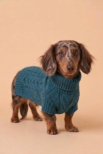 The Teckel Winter Warmer Sweater