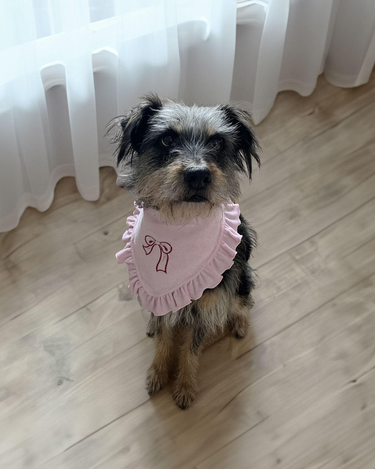 Dog Bandana Lightweight and Breathable