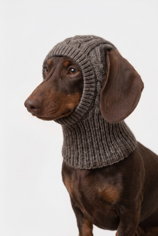 La Cagoule pour Chien