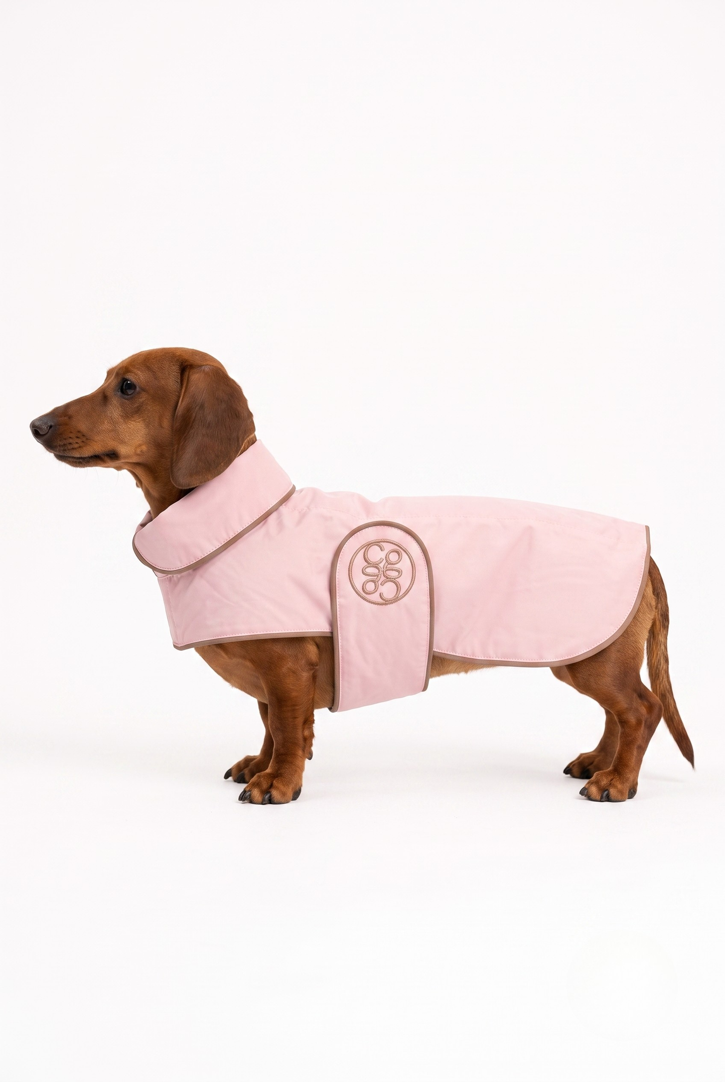 The Teckel La Pluie Light — Luxury Dachshund Raincoat, Made in France