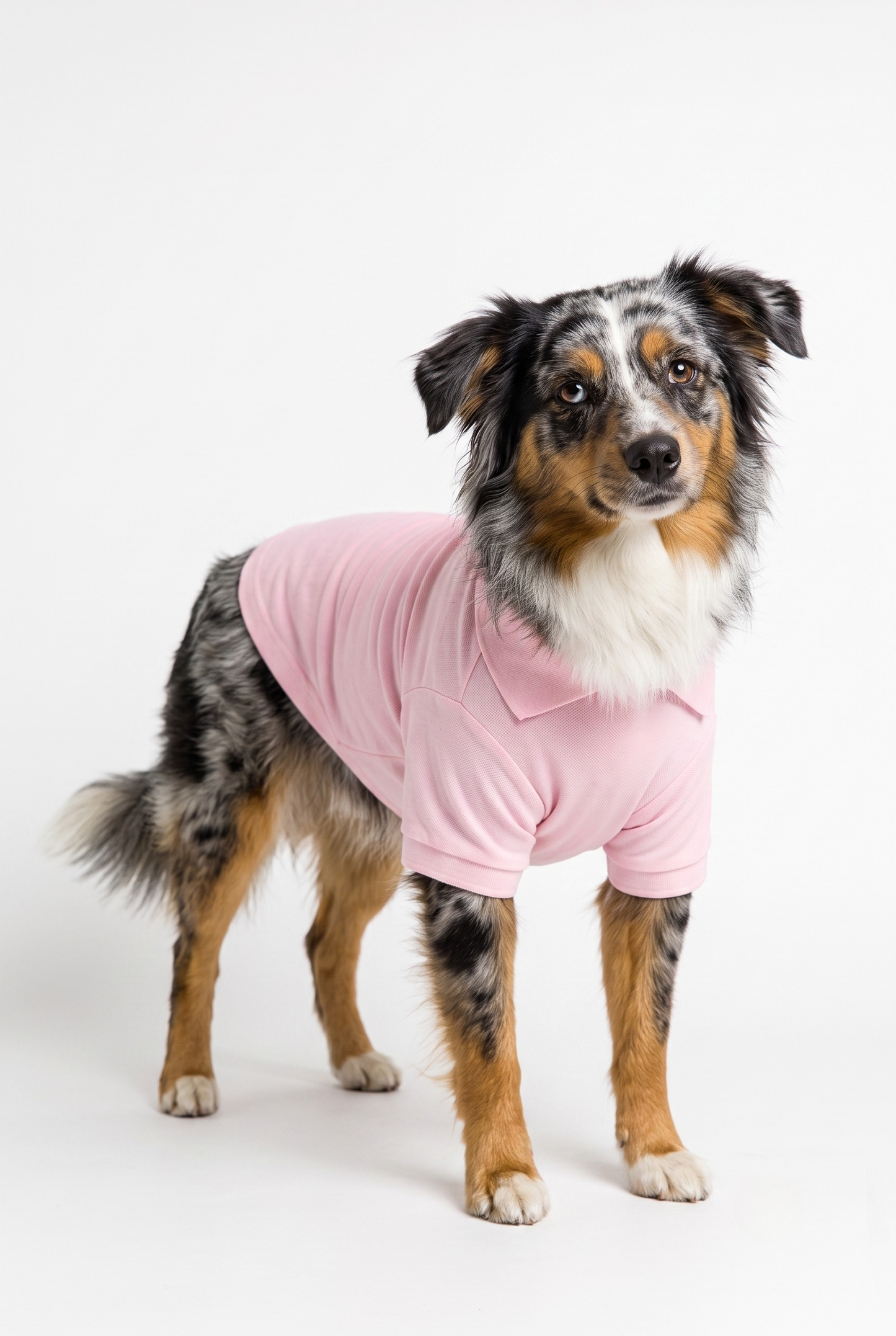 Sérine — Polo pour Chien en Coton