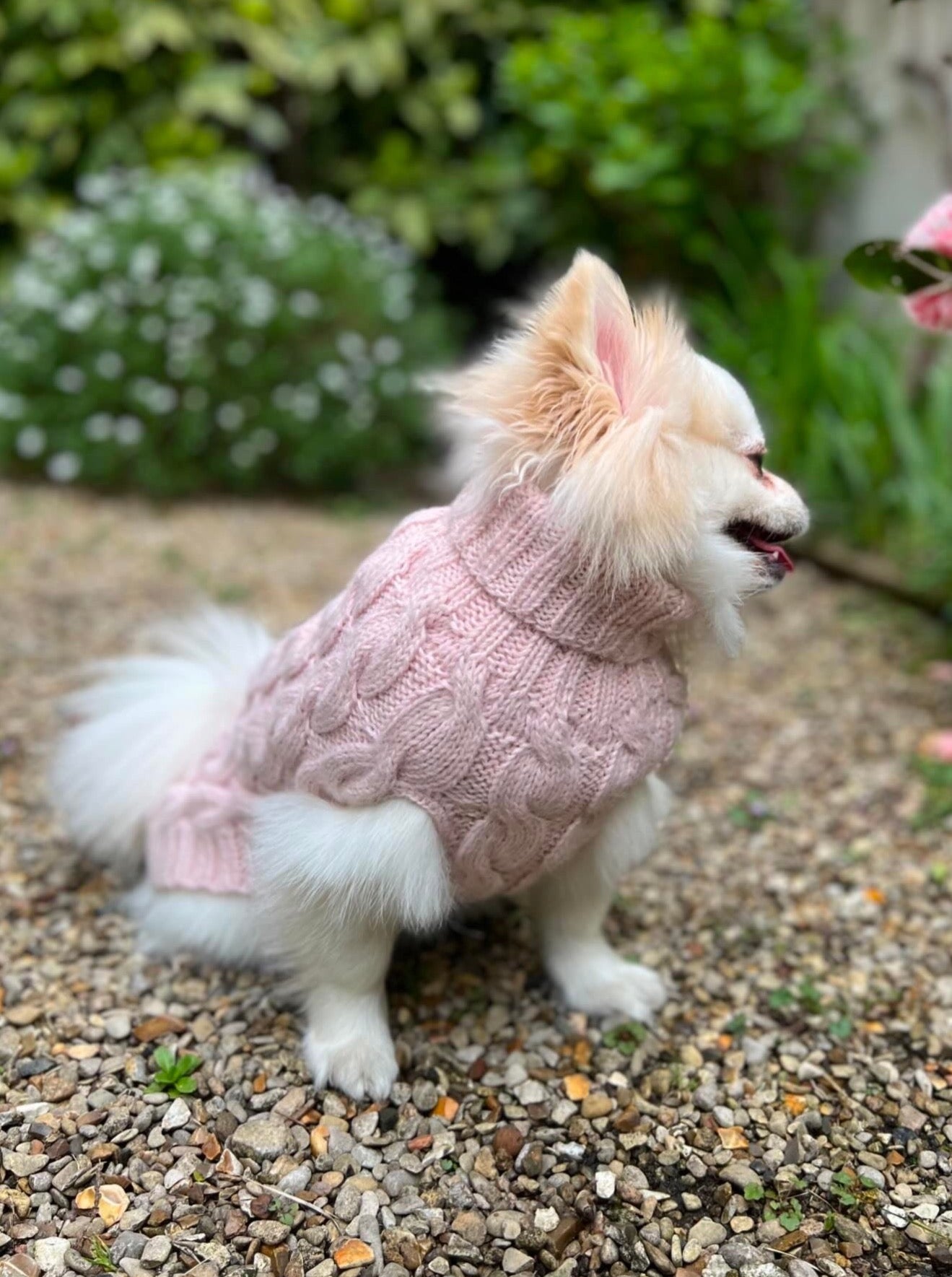 DOG SWEATER BEST SELLER HANDMADE IN PREMIUM ALPACA (Copy) Colette et Gastón