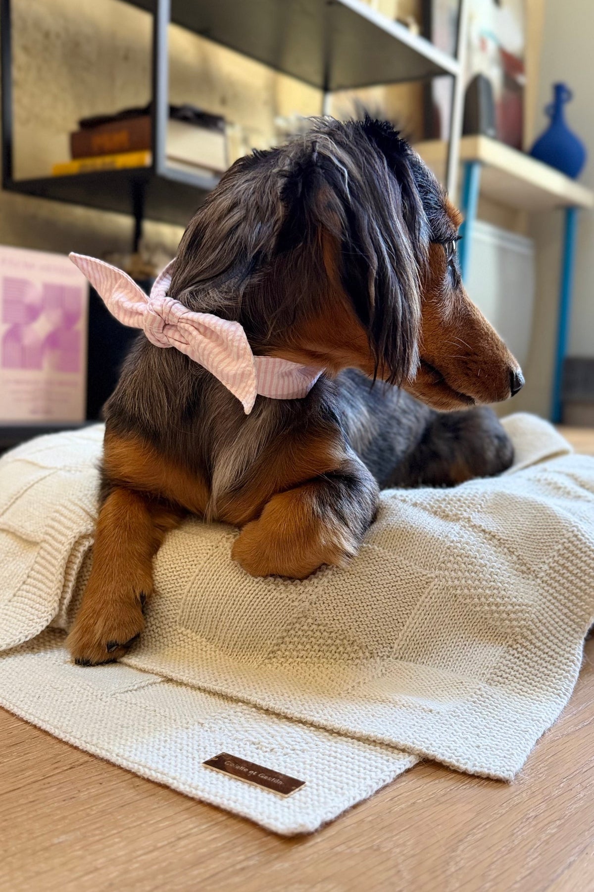 The Baby Alpaca Dog Blanket