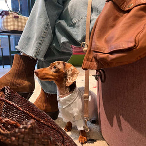 Epuré Dog Striped Shirt Cotton Lightweight