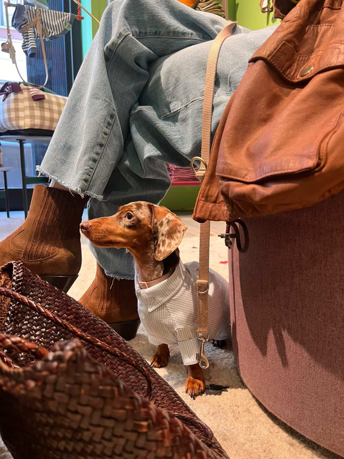 Epuré Dog Striped Shirt Cotton Lightweight