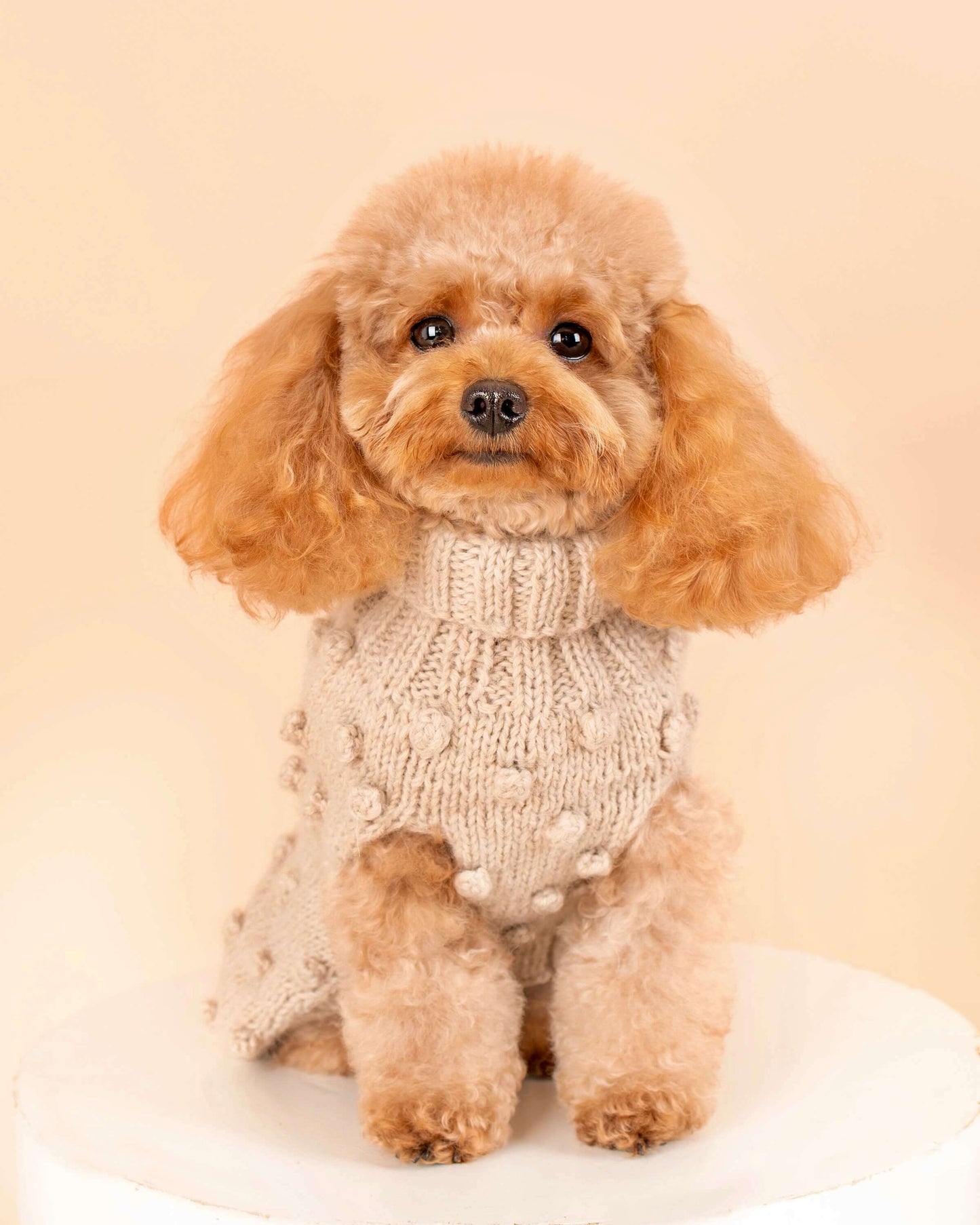 Dog Sweater Dots Handmade In Premium Alpaca