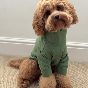 DOG T-SHIRT IN COTTON PIMA ULTRA SOFT Colette et Gastón