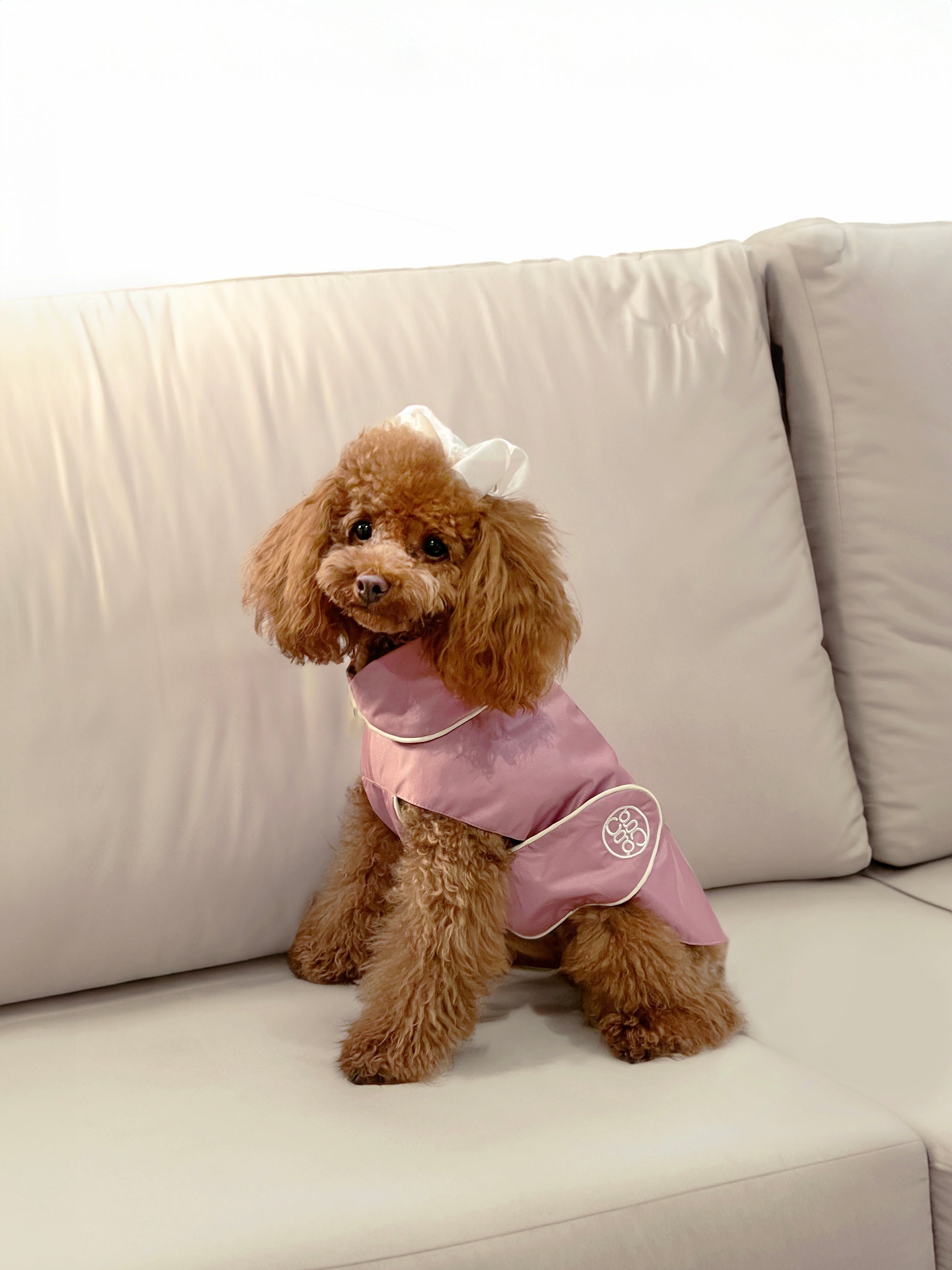 Impermeable para perro