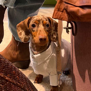 Epuré Dog Striped Shirt Cotton Lightweight