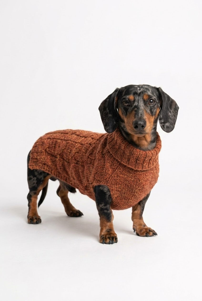 The Dots Teckel Alpaca