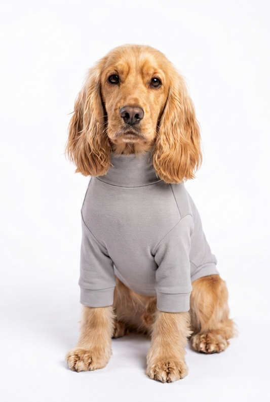 Le Coton Dog T-Shirt — The Coton Base Layer