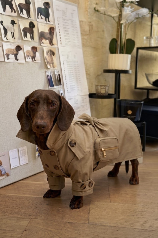 The Teckel Trench Rain-Coat — Luxury Dachshund Raincoat, Made in France
