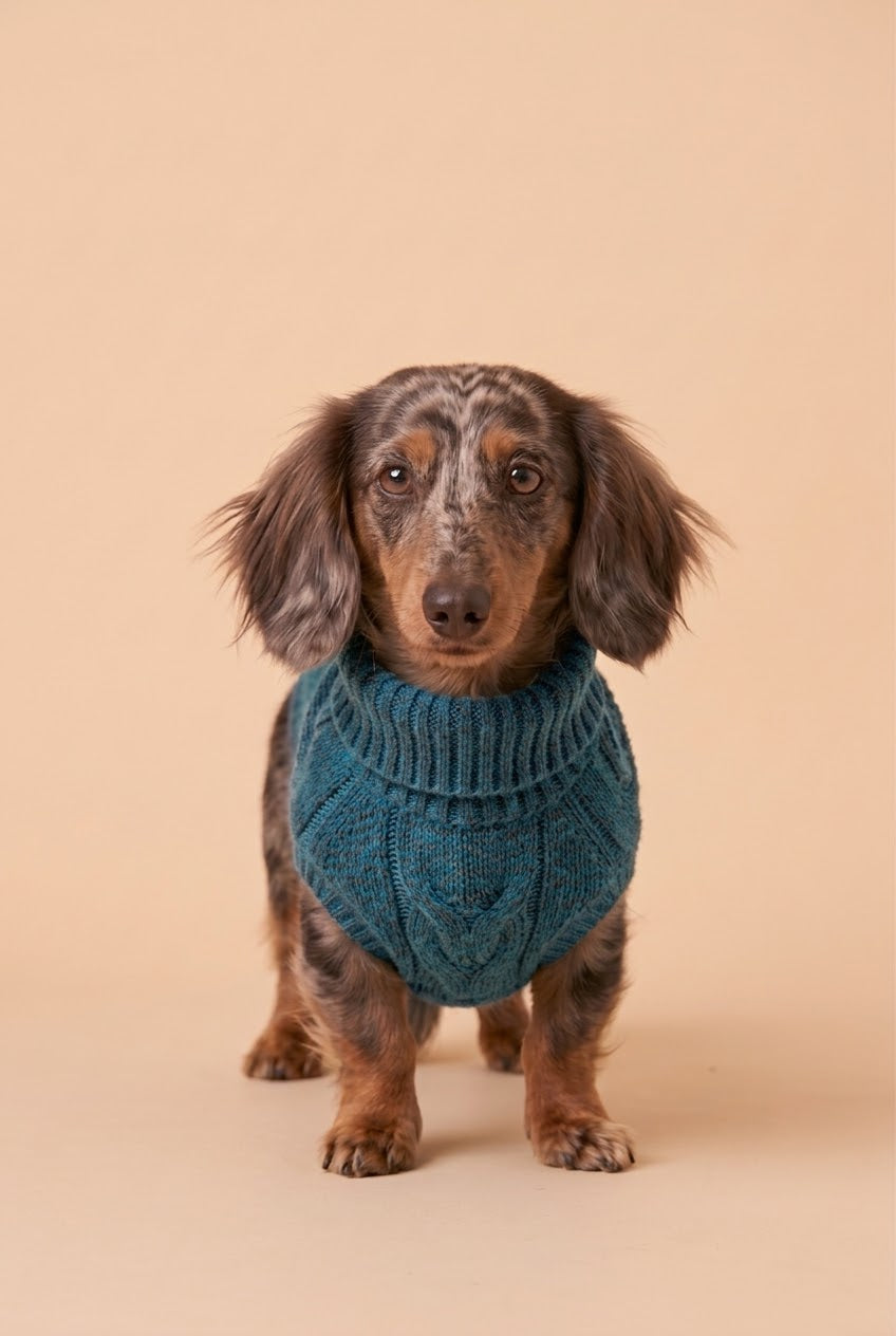 The Teckel High Neck Sweater