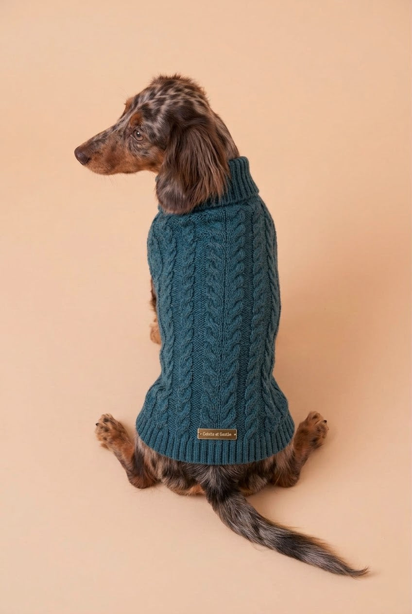 The Teckel High Neck Sweater
