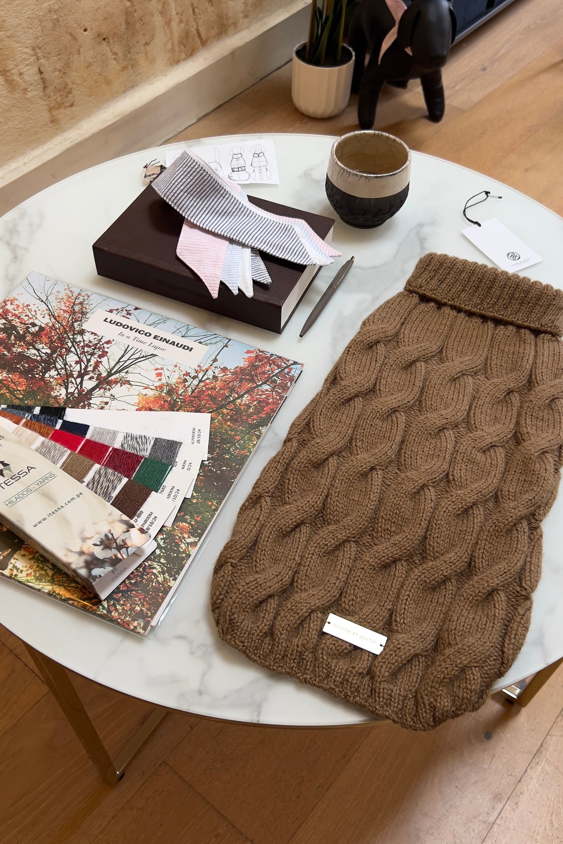 Brown knitted dog sweater on a marble table with magazines and a plant in the background.