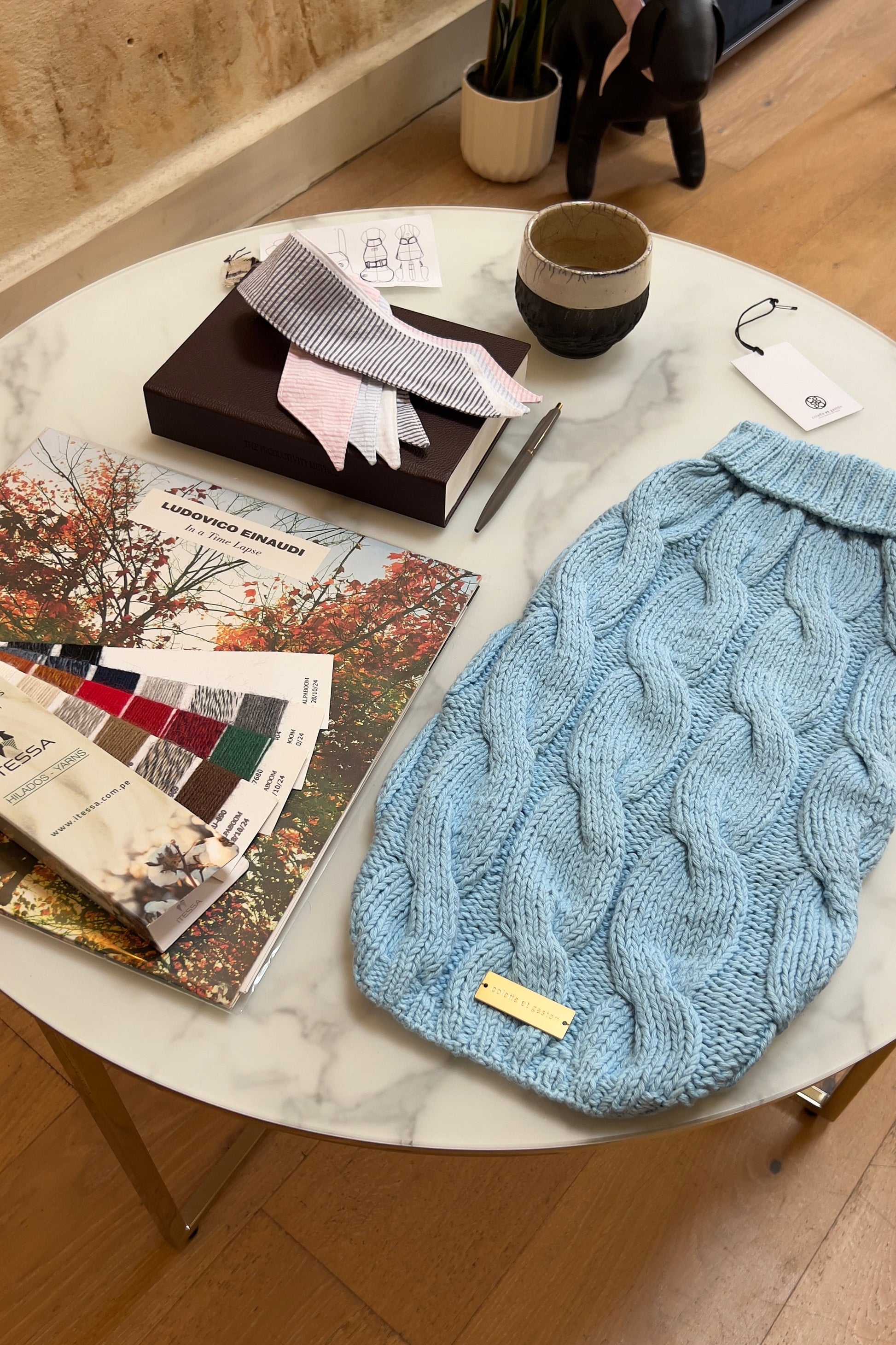 Blue knitted dog sweater on a round marble table with books and a plant in the background.