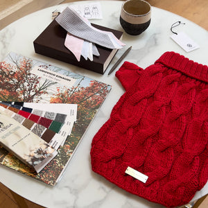 Red knitted dog sweater on a marble table with books and a plant in the background.