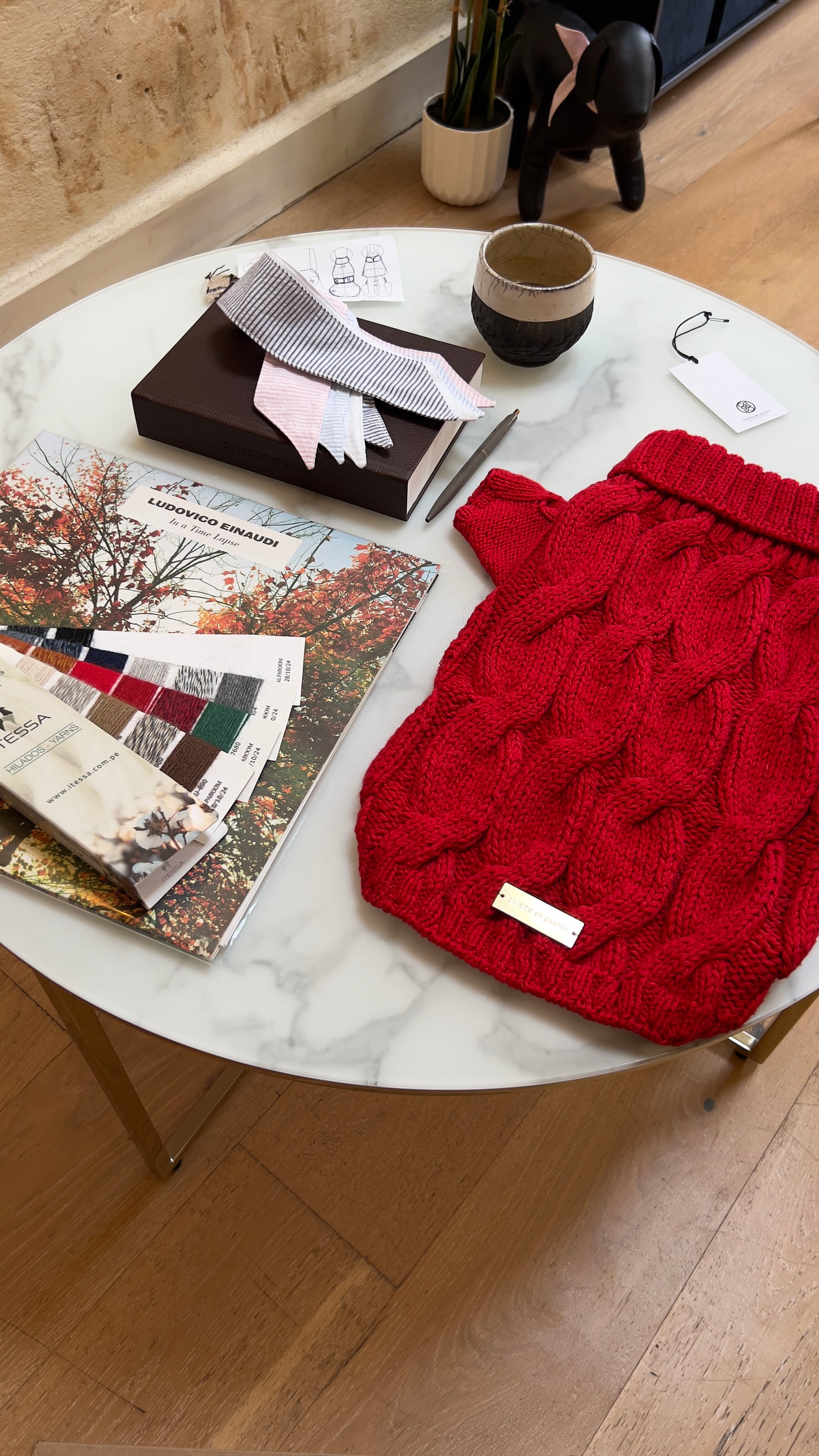 Red knitted dog sweater on a marble table with books and a plant in the background.