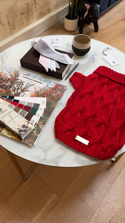 Red knitted dog sweater on a marble table with books and a plant in the background.