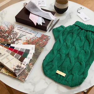 Green knitted dog sweater on a marble table with books and a plant in the background