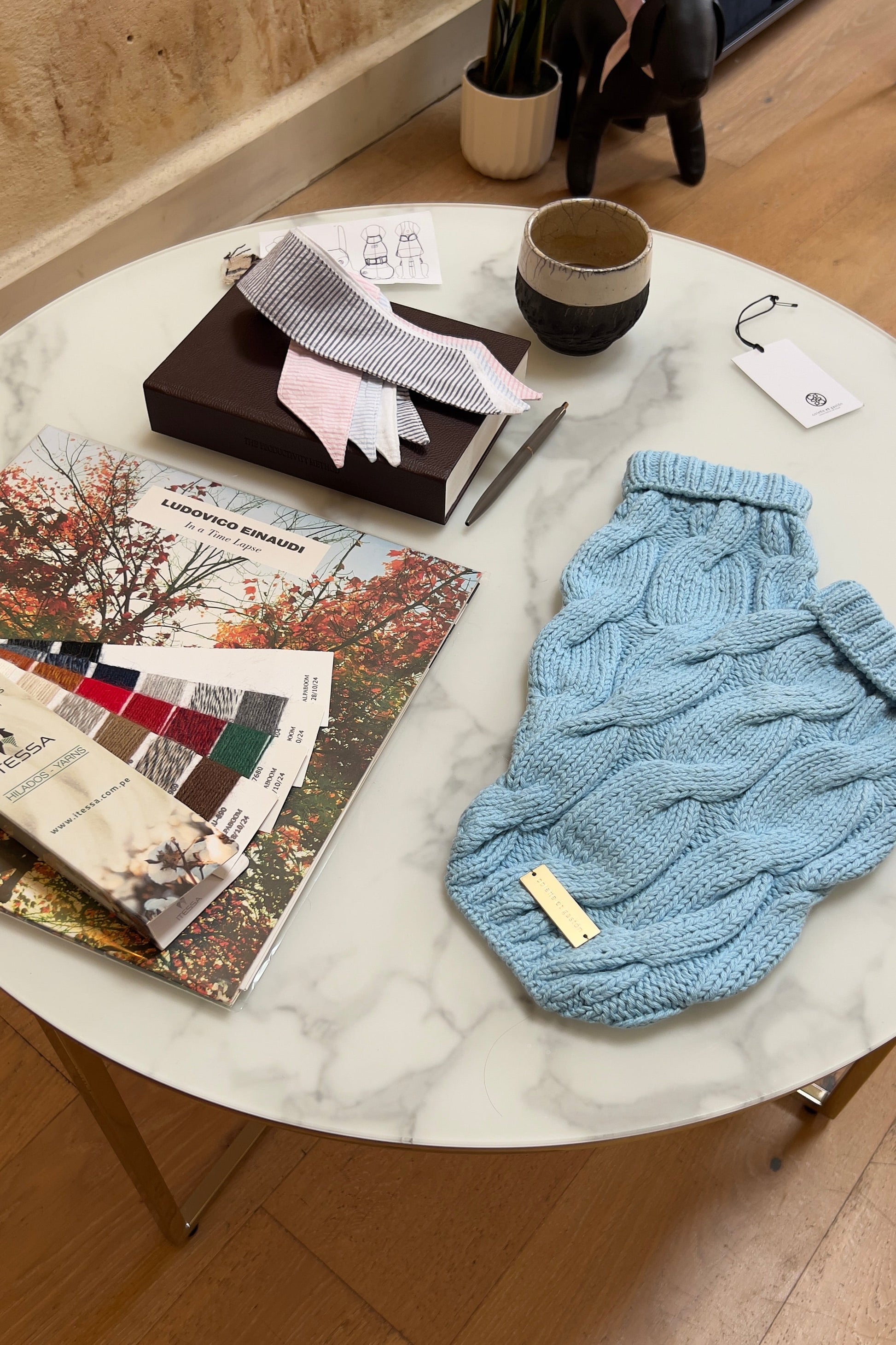 Blue knitted dog sweater on a marble table with books and a plant in the background.