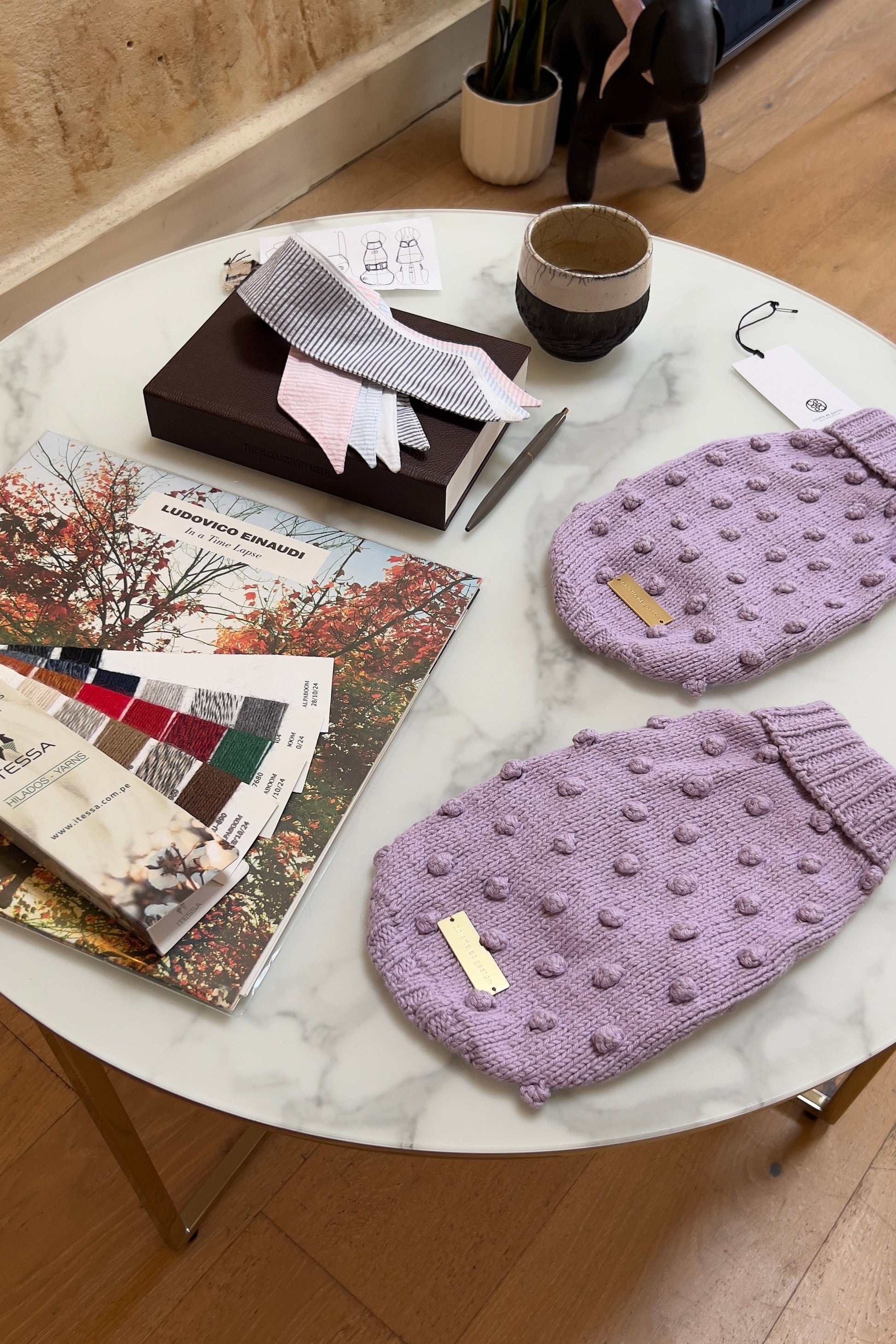 chihuahua-pomeranian-petite-dog-chiene-chien-pull-sweater-dog