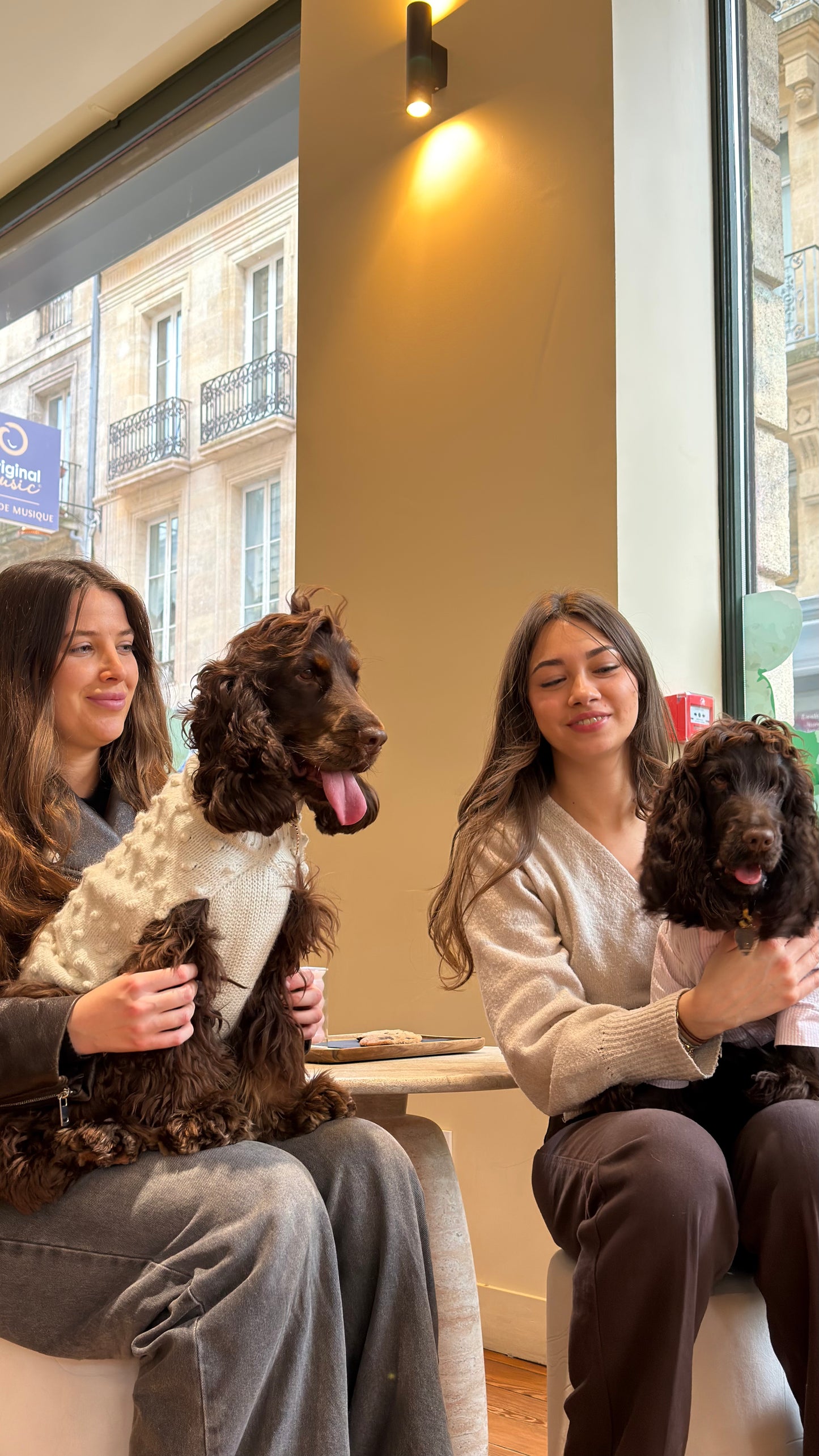 LA TRESSE Sweater - Ready to Ship