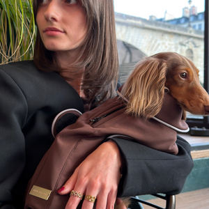 Woman holding a small dog in a brown impermeable with a cityscape in the background