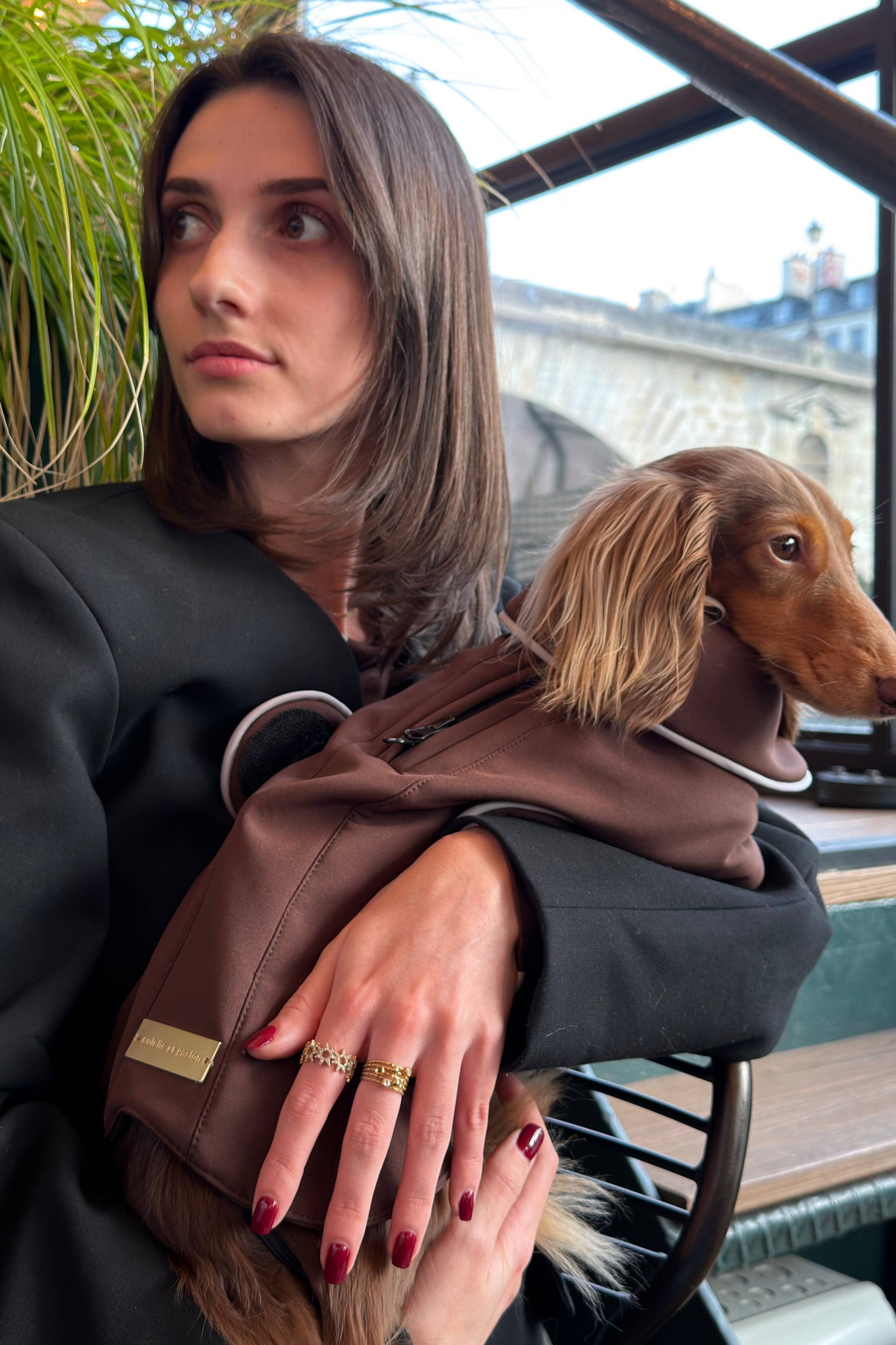 Woman holding a small dog in a brown impermeable with a cityscape in the background