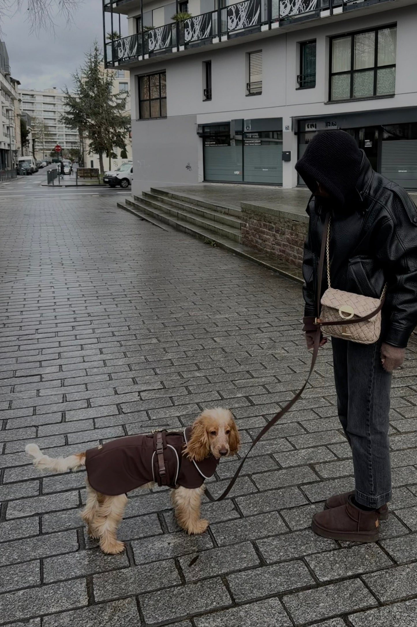 Person walking a dog on a leash in an urban setting